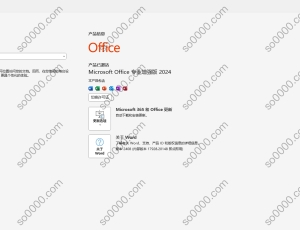 Office 2024 软件安装教程