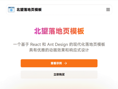 打造专业网站：北望落地页模板
