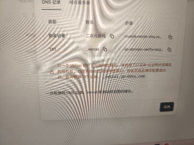 这个域名怎么搞啊？