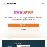 打造专业网站：北望落地页模板